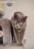 Lizzy sucht Menschen mit großem Herzen