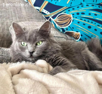 Lizzy sucht Menschen mit großem Herzen