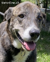 Lola - Das Herz hat seine Gründe...