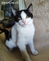 LOLITA & MOTCHI - ARME  BABYS DIE FAST VERHUNGERT WAEREN