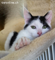 LOLITA & MOTCHI - ARME  BABYS DIE FAST VERHUNGERT WAEREN