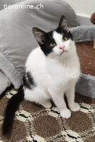 LOLITA & MOTCHI - ARME  BABYS DIE FAST VERHUNGERT WAEREN