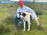 Luca sucht ein liebevolles Zuhause