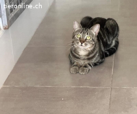 Lucas & Clarita - Das unzertrennliche Duo