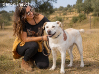 Lucas, ein temperamentvoller Senior