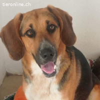 Lucho – einst vergessen, jetzt bereit für ein neues Kapitel