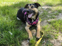 Lucia - sucht verständnisvolle Menschen