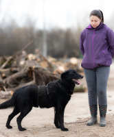 Luther – ein sanfter Gefährte sucht sein zweites Glück