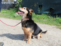 Macky - und sein Weg zurück ins Leben