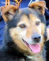 Macky - und sein Weg zurück ins Leben