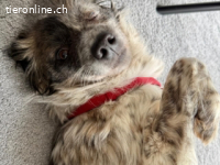 Maggie - vor einer Woche bin ich in Deutschland angekommen