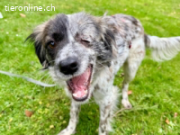 Maggie - vor einer Woche bin ich in Deutschland angekommen