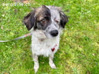 Maggie - vor einer Woche bin ich in Deutschland angekommen