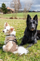 Liv und Bruce – gemeinsam stark