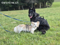 Liv und Bruce – gemeinsam stark