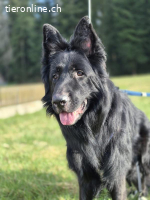 Liv und Bruce – gemeinsam stark