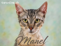 Manel, jung und verspielt