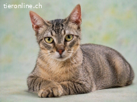 Manel, jung und verspielt
