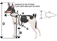 Maresciallo-ein Kuschelbär auf 4 Pfoten sucht Famlie