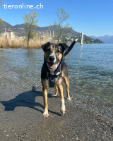 Margot die Katzenfreundin