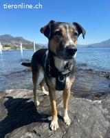 Margot die Katzenfreundin