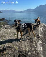 Margot die Katzenfreundin