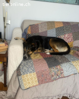 Margot die Katzenfreundin