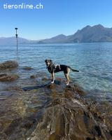 Margot die Katzenfreundin