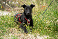 Maria (ca. 1 Jahr) – eine Freundin fürs Leben