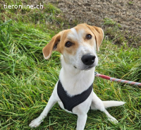 Mark - hat Interessenten