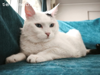 MARKOS - DER WONNEPROPPEN MOECHTE WIEDER EIN ZU HAUSE