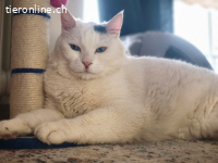 MARKOS - DER WONNEPROPPEN MOECHTE WIEDER EIN ZU HAUSE