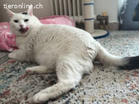 MARKOS - DER WONNEPROPPEN MOECHTE WIEDER EIN ZU HAUSE