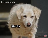 MARTY