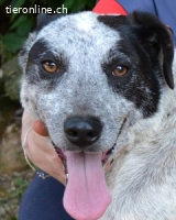 Medwin - Wo ist denn nun das wahre Leben?