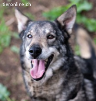 Melchior - sein toller Name ist auch Programm!