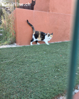 Lola (Mimi) – eine kleine Prinzessin mit großem Herzen