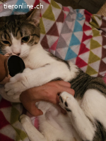 Mina, w./kastr., 06/2023; Freigang oder Wohnung