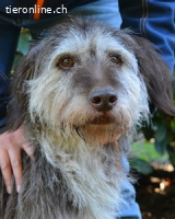 Minnie - Nach 7 Jahren Unglück endlich 7 Jahre Glück?