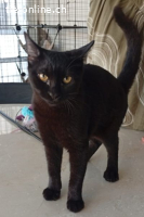 Mirija und Lissy gehen zusammen durch dick und dünn, 1 Jahr