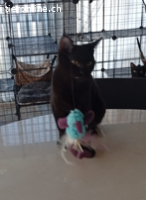 Mirija und Lissy gehen zusammen durch dick und dünn, 1 Jahr