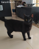 Mirija und Lissy gehen zusammen durch dick und dünn, 1 Jahr