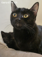 Mirija und Lissy gehen zusammen durch dick und dünn, 1 Jahr