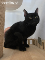 Mirija und Lissy gehen zusammen durch dick und dünn, 1 Jahr