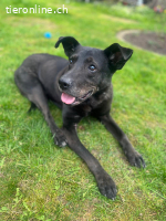 Mogli - herziger Bub mit Handicap