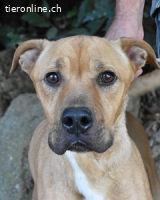 Moises - Wie kannst Du sein?