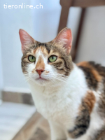 Muffin & Hagrid: Zwei Herzen, ein Zuhause gesucht