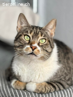 Muffin & Hagrid: Zwei Herzen, ein Zuhause gesucht