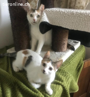 Mutter und Tochter bleiben zusammen