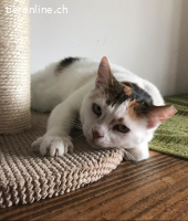 Mutter und Tochter bleiben zusammen